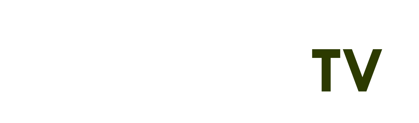 cầu nhật tân